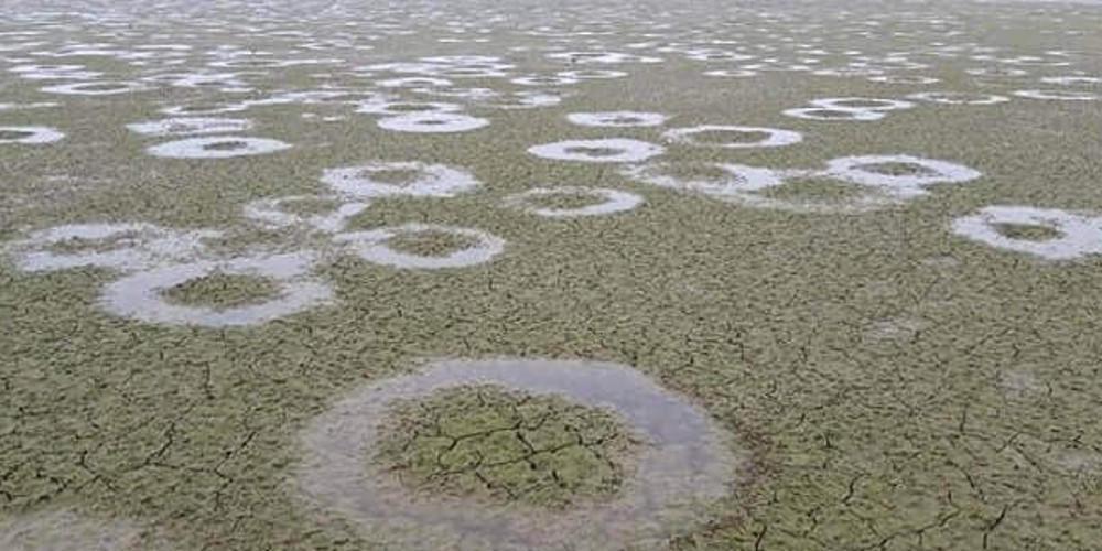 Μυστήριο στη λίμνη Κερκίνη: Εκατοντάδες τέλειοι κύκλοι εμφανίσθηκαν στον πυθμένα [Βίντεο]