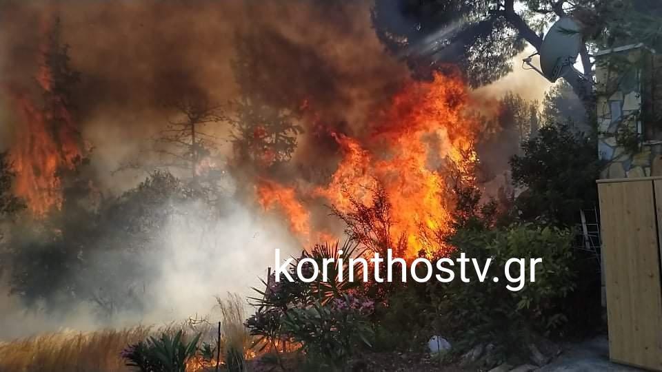 Μεγάλη φωτιά στα Ίσθμια: Δίπλα στα σπίτια οι φλόγες [εικόνες και βίντεο]