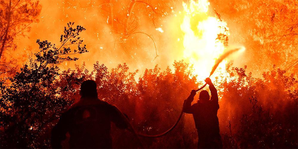 Φωτιά στον Σχίνο Κορινθίας: Συνεχίζεται η μάχη με τις φλόγες