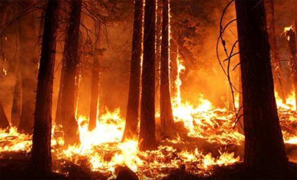 Καλιφόρνια: Γιγάντιο δέντρο σεκόγια καίγεται από το καλοκαίρι του 2020