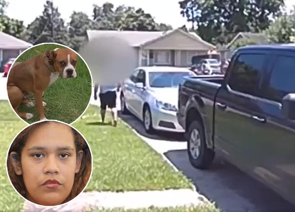 Τέξας: Ήθελε να πυροβολήσει τον σκύλο του γείτονα και πυροβόλησε τον γιο της