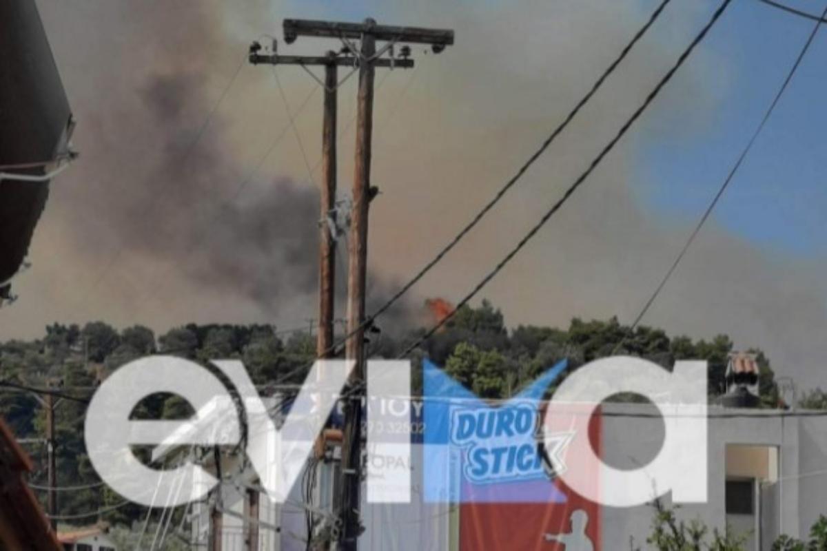 Εύβοια: Διακοπή ρεύματος στη Λίμνη – Καταστράφηκαν κολώνες της ΔΕΗ από τη φωτιά