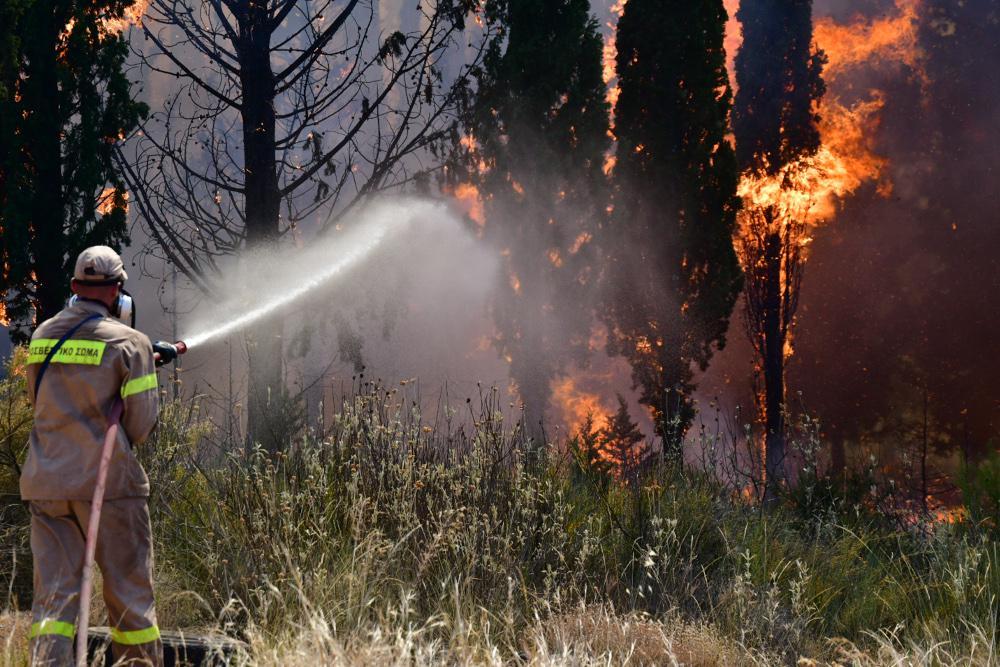 Φωτιά στην Αχαΐα: Ολονύχτια μάχη με τις φλόγες - Φόβοι για αναζωπυρώσεις