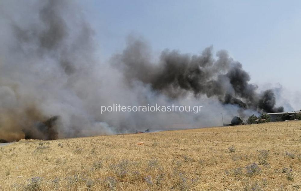 Φωτιά στη Νεοχωρούδα Θεσσαλονίκης - Ενισχύθηκαν οι δυνάμεις