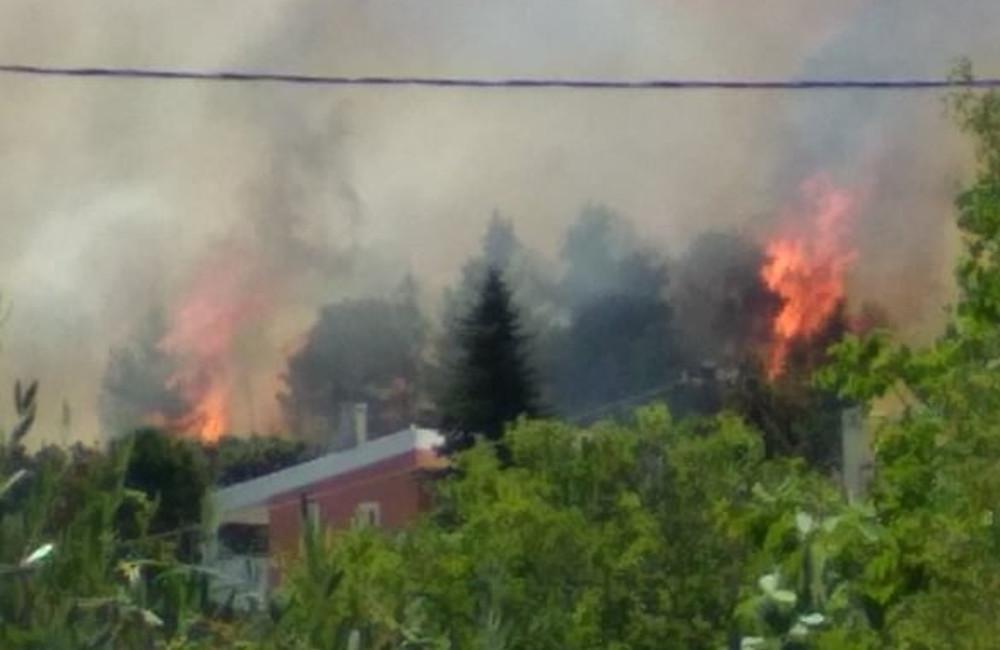 Μεγάλη φωτιά κοντά σε σπίτια στη Σταμάτα [εικόνες & βίντεο]