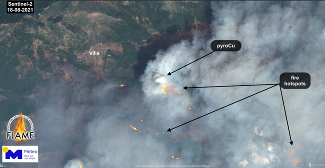 Φωτιά στα Βίλια: Ακραία συμπεριφορά πυρός παρουσίασε η πυρκαγιά [εικόνες]
