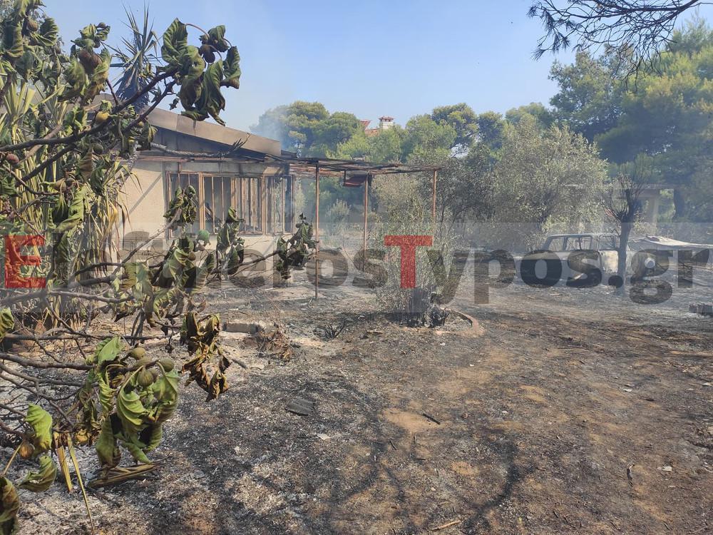 Φωτιά στο Κρυονέρι: Καίγονται σπίτια κοντά στην κεντρική πλατεία