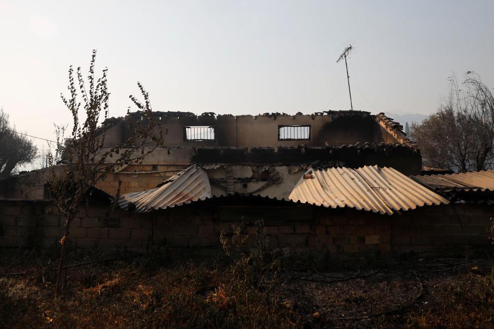 Φωτιά στην Αχαΐα: Ο πρώτος απολογισμός της καταστροφής - Συνεχίζεται η μάχη με τις φλόγες
