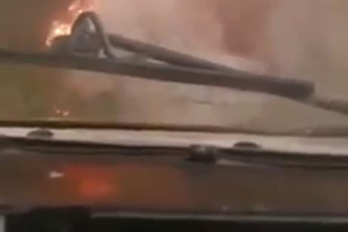 Φωτιά: «Βουτιά» στις φλόγες από τον πιλότο του Canadair – Συγκλονιστικό βίντεο μέσα από το πιλοτήριο