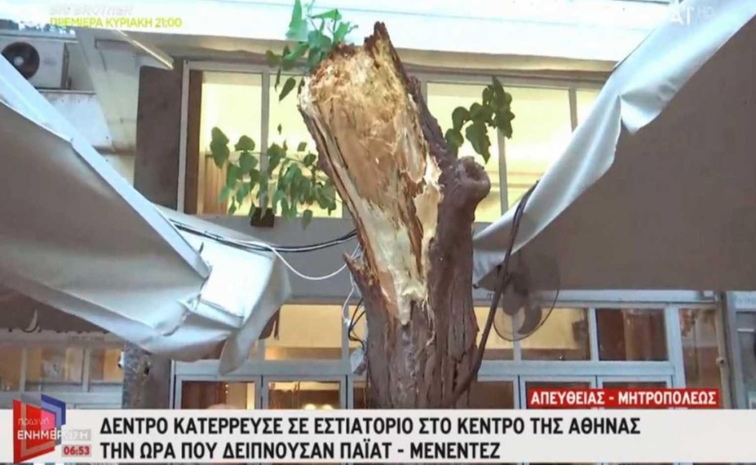 Πανικός στη συνάντηση Πάιατ με Μενέντεζ – Κατέρρευσε δέντρο στο κέντρο της Αθήνας