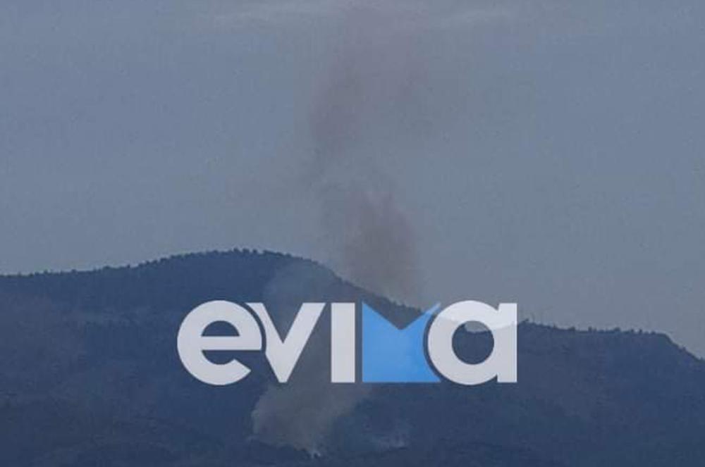 Φωτιά στην Εύβοια: Πυρκαγιά στο Μίστρο - Συναγερμός στις Αρχές