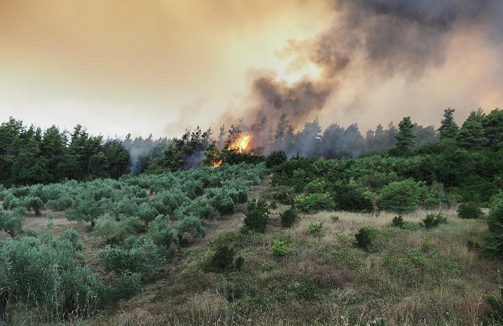 Μαίνονται τα πύρινα μέτωπα στην Εύβοια - Μάχη με τις φλόγες