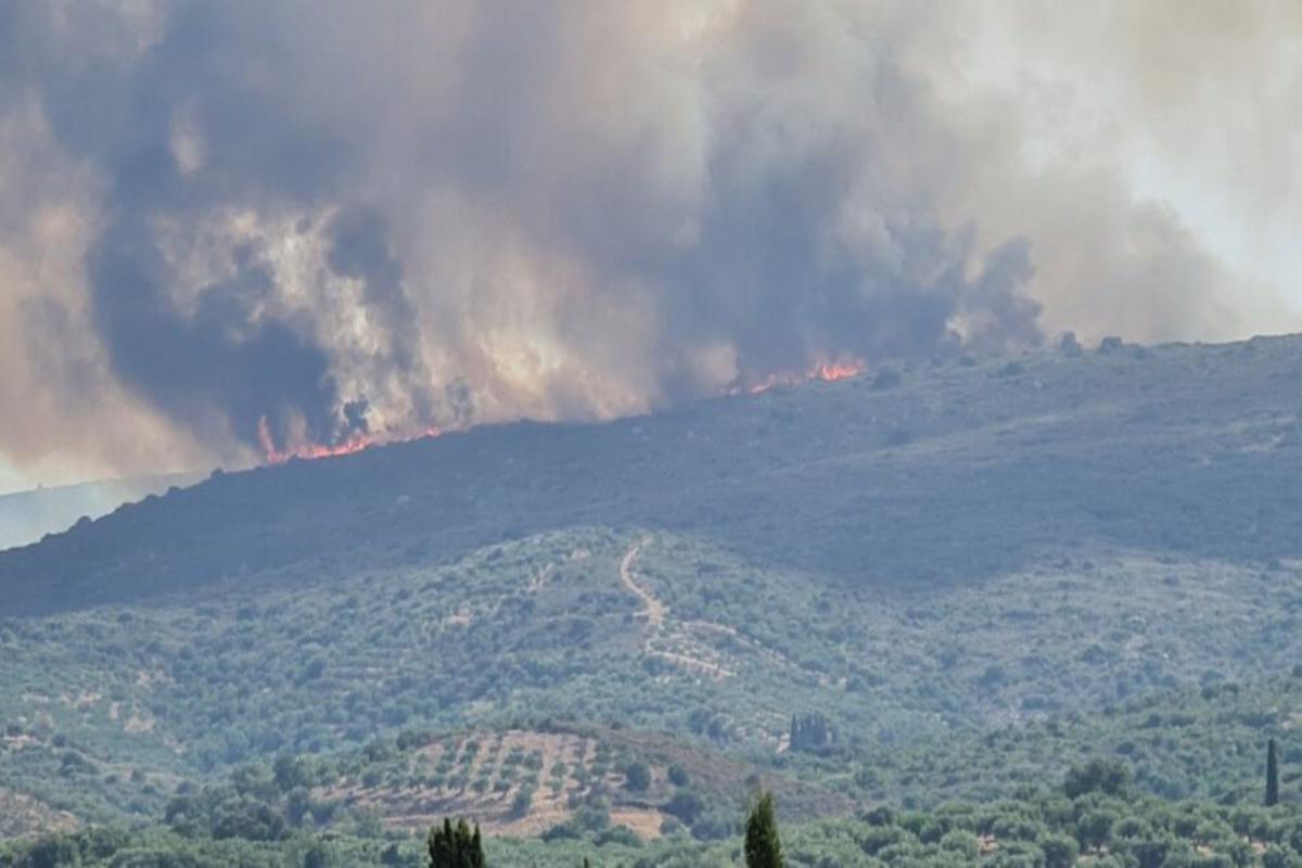 Μεσσηνία: Φουντώνουν οι φλόγες- Εκκενώθηκε ο οικισμός Βασιλίτσι