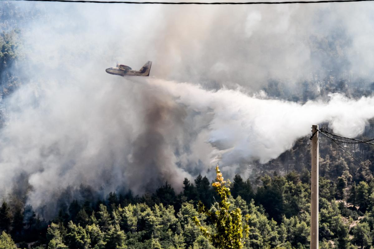 Φωτιά στην Ηλεία: Καίγονται χωράφια στο Μαρκόπουλο Τραγανού – «Σηκώθηκαν» τα Canadair