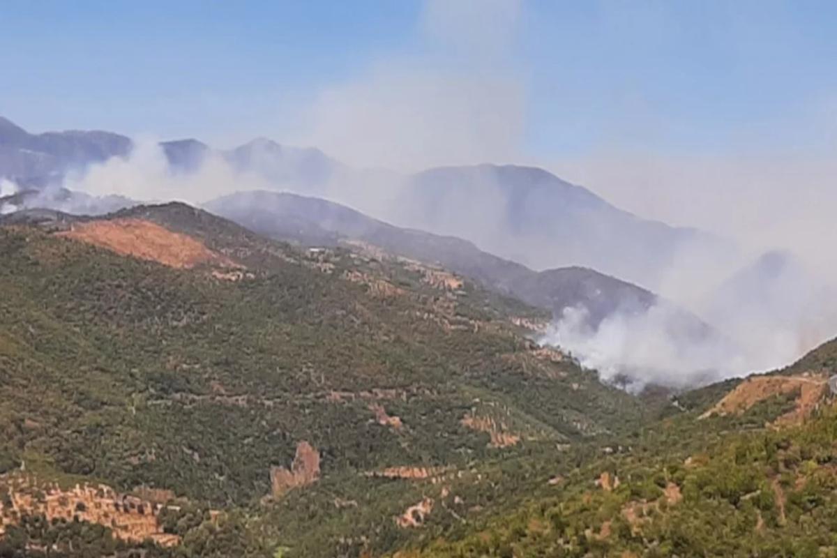 Φωτιά στη Μεσσηνία: Εκκενώνεται το Δασοχώρι - Απειλείται ξανά από τις φλόγες το Κρανάσι