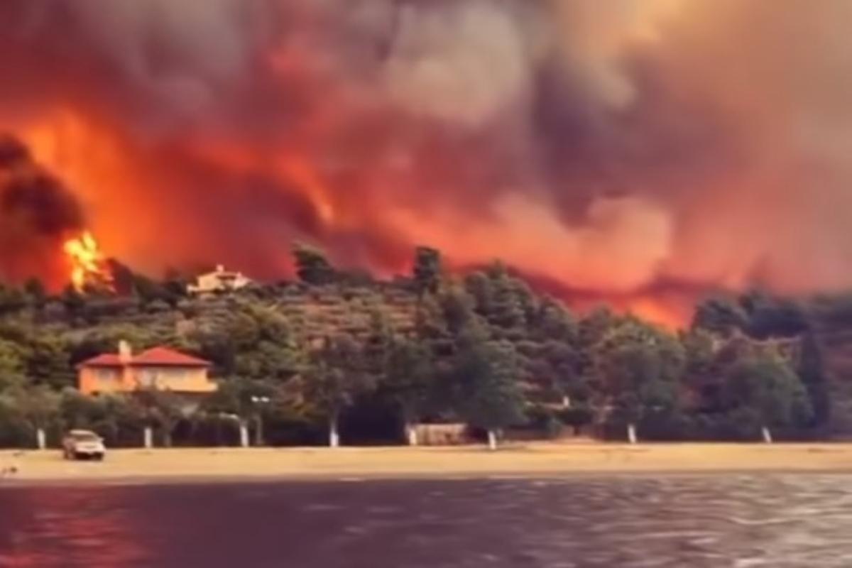 Φωτιά στην Εύβοια: Πέρασε από τις Ροβιές η πύρινη λαίλαπα – Καίγονται τα πρώτα σπίτια – Συγκλονιστικό βίντεο