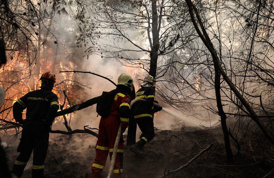 Φωτιές: «Μάχη» με τις αναζωπυρώσεις σε Γορτυνία και Ανατολική Μάνη
