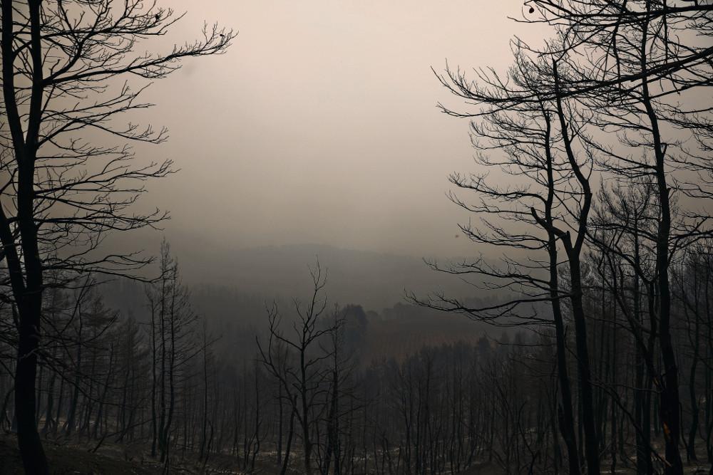 Βόρεια Εύβοια: Ο παράδεισος που έγινε κόλαση… - Πάνω από 600.000 στρέμματα καμένης γης