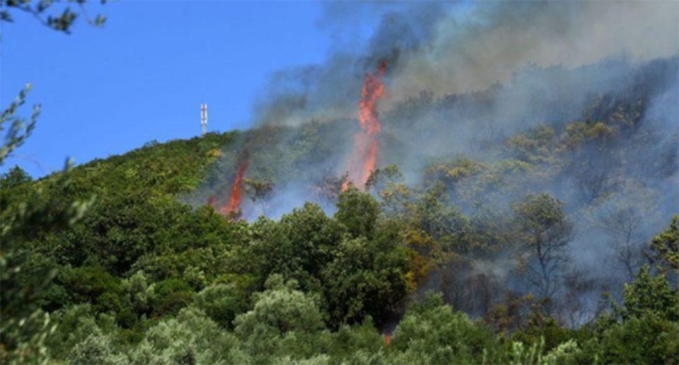 Φωτιά στη Σπάρτη: Δύσκολη η κατάσταση - Ενισχύθηκαν οι δυνάμεις