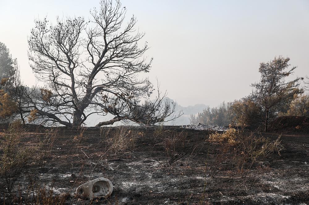 Φωτιά στην Βαρυμπόμπη: Πώς εξαπλώθηκε η πυρκαγιά [βίντεο]