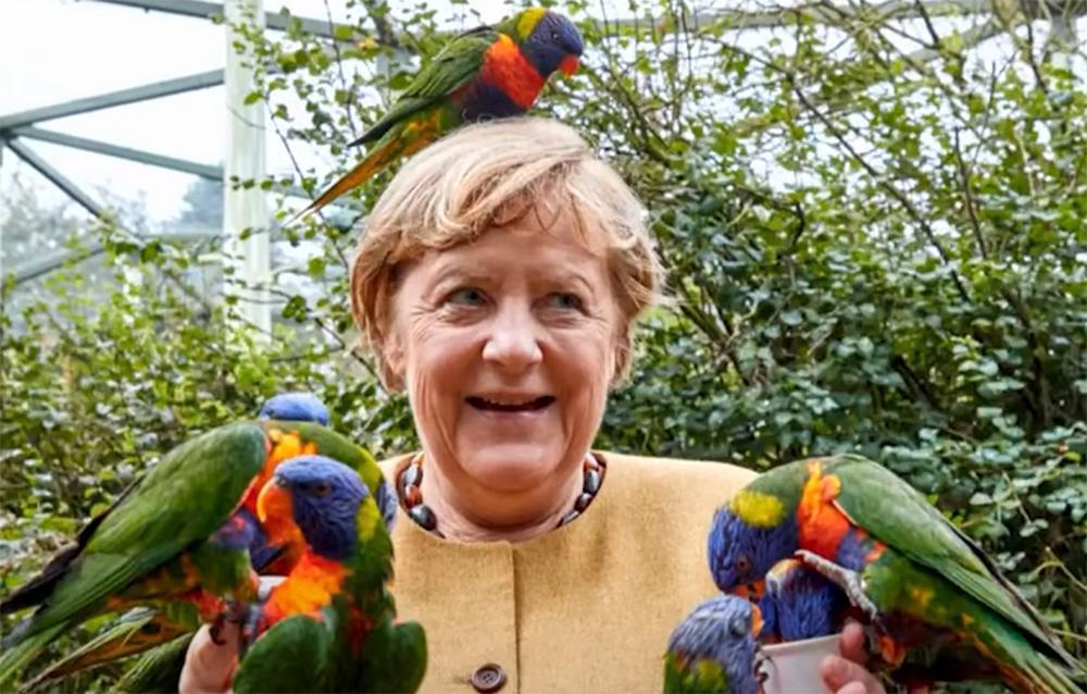 Viral η… επεισοδιακή «συνάντηση» της Μέρκελ με παπαγάλους [εικόνα]