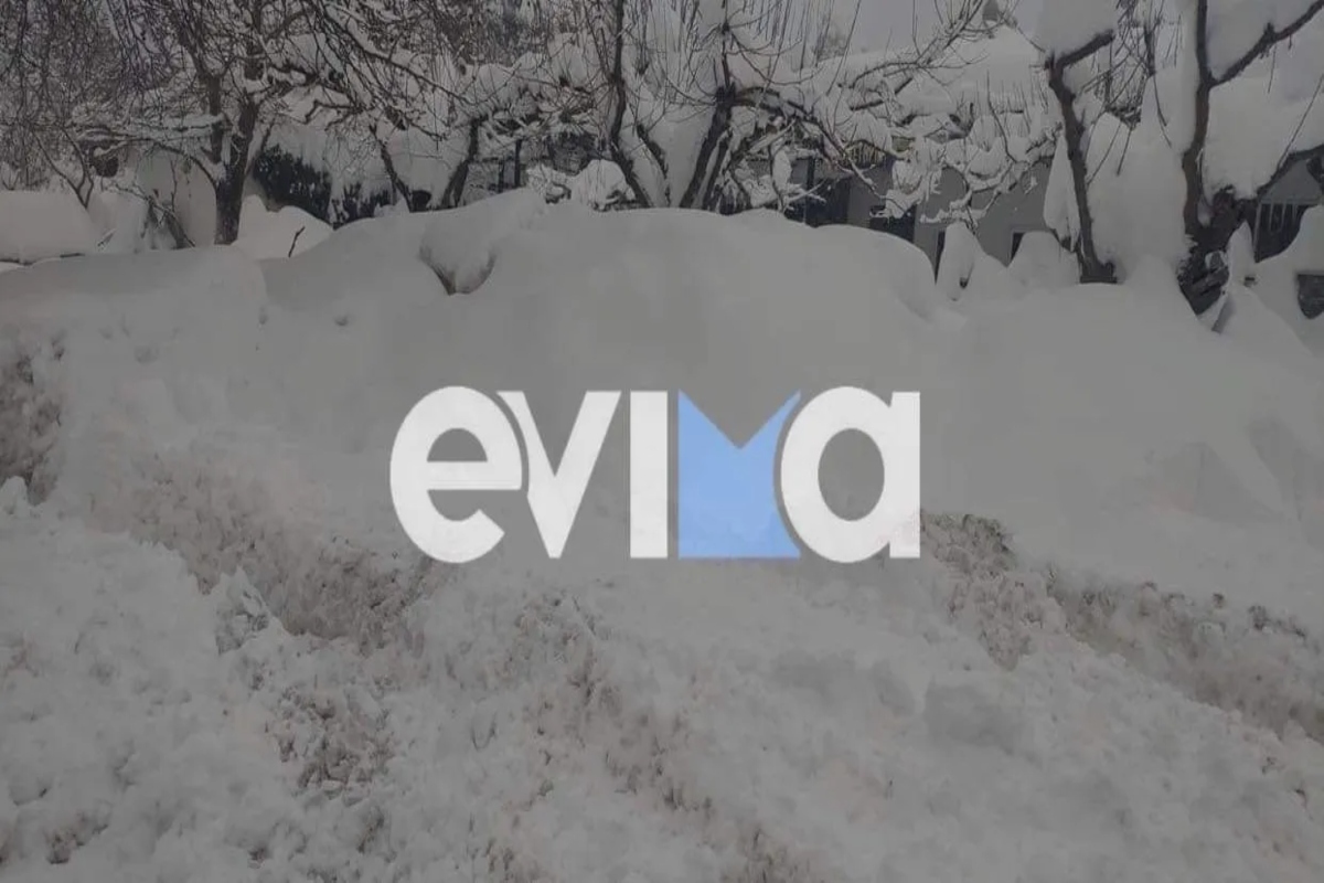 Κακοκαιρία «Φίλιππος» – Εύβοια: Σάρωσε την περιοχή χιονοθύελλα – Χωρίς ρεύμα οι κάτοικοι λόγω πτώση δέντρων