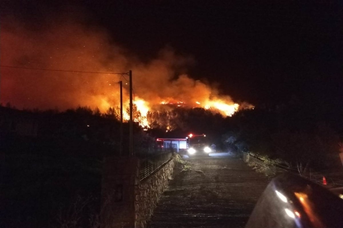 Φωτιά στην Ηλεία: Πύρινη κόλαση στο Λιβαδάκι – Εκκενώθηκε ο οικισμός, ολονύχτια μάχη με τις φλόγες