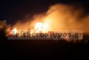Συναγερμός από μεγάλη φωτιά στο νότιο Πήλιο - Πνέουν ισχυροί άνεμοι