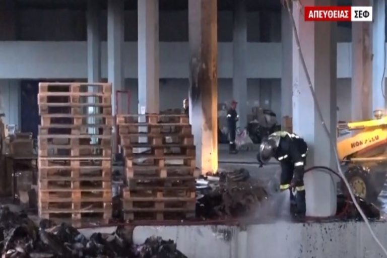 Φωτιά στο ΣΕΦ: Κάηκαν παλέτες με ανθρωπιστική βοήθεια για την Ουκρανία – Αποπνικτική ατμόσφαιρα [βίντεο]