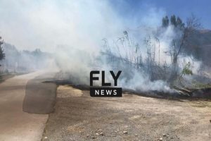 Φωτιά στη Σπάρτη: Στις φλόγες δάσος στην περιοχή Παλαιοπαναγιά