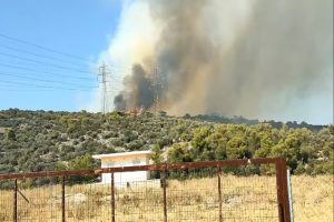 Φωτιές: 89 πυρκαγιές σε ένα 24ωρο - Νεότερη ενημέρωση για τα πύρινα μέτωπα σε Μάνδρα και Δαδιά