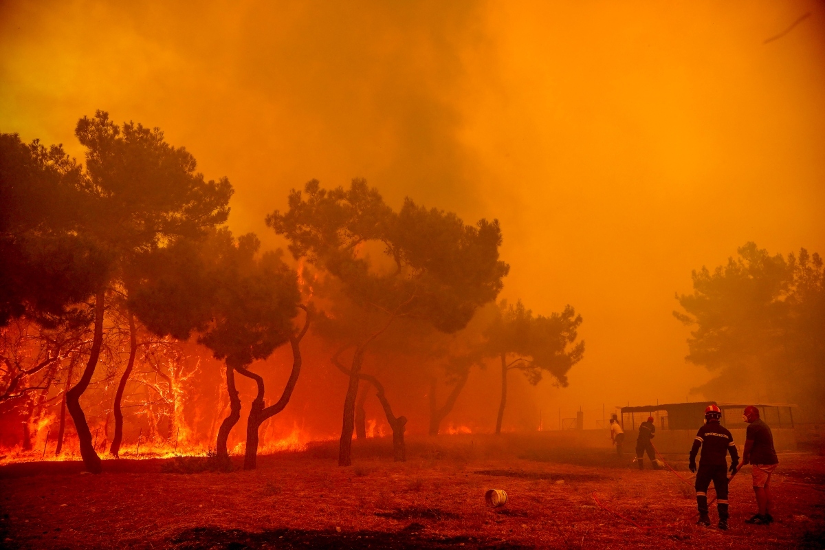 Πύρινη κόλαση στη Λέσβο: Κάηκαν σπίτια και επιχειρήσεις στα Βατερά – Δύσκολη μάχη, συγκλονιστικές εικόνες από τη φωτιά [βίντεο]