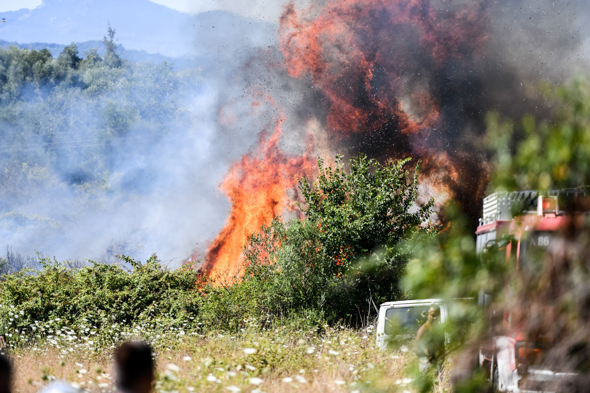Φωτιά στην Καλλιθέα Αχαΐας: Μήνυμα από το 112 για εκκένωση δύο οικισμών