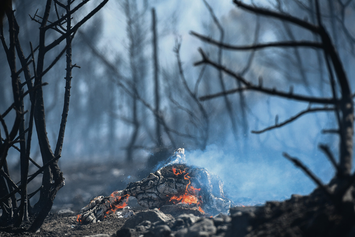 Εντοπισμός πυρκαγιών με… αλγόριθμο - Θερμικές κάμερες και αισθητήρες στα δάση