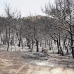 Φωτιά στη Λέσβο: Νέα αναζωπύρωση – Εκκένωνεται το χωριό Βρίσα