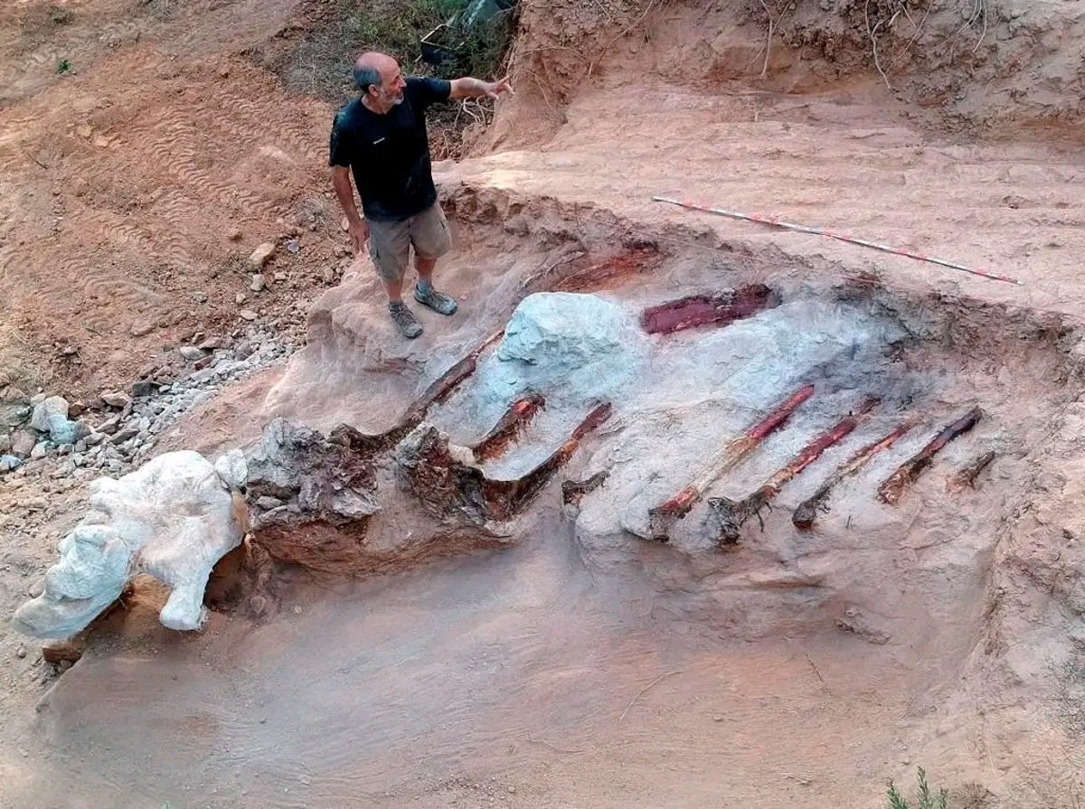 Τρομερό εύρημα στην Πορτογαλία: Έσκαβε στην αυλή του και βρήκε τον μεγαλύτερο δεινόσαυρο στην Ευρώπη