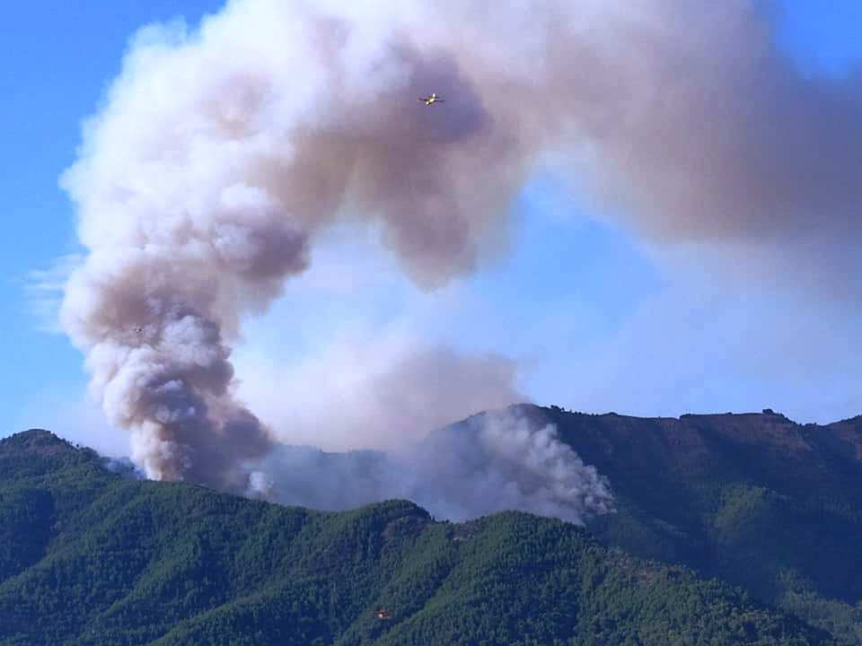 Φωτιά στην Θάσο: Εκτός ελέγχου η κατάσταση στην Σκάλα Ποταμιάς - Καίει πυκνό δάσος - ΕΛΛΑΔΑ