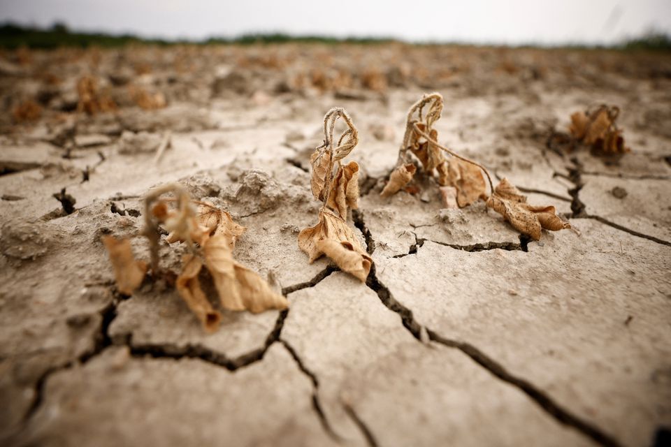 Η χειρότερη  ξηρασία των τελευταίων 500 ετών ταλανίζει την Ευρώπη