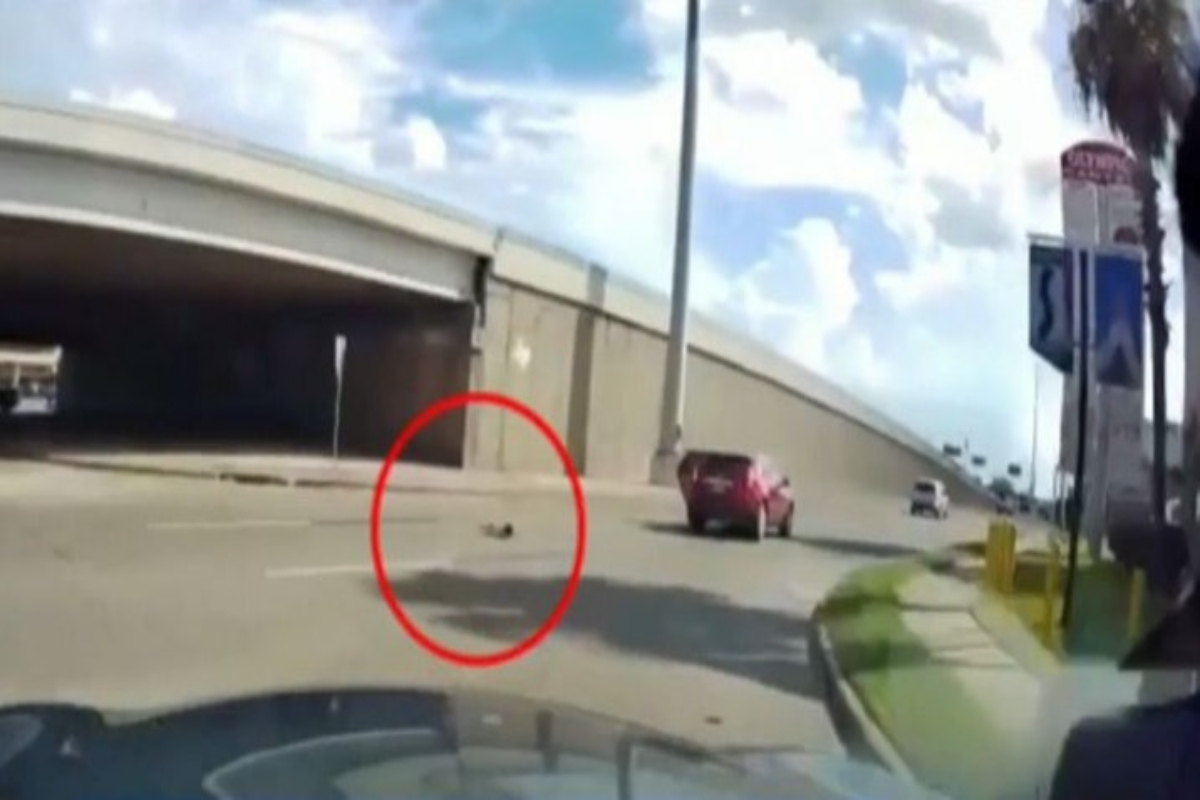 Το πιο σοκαριστικό βίντεο – Μωράκι πέφτει από αυτοκίνητο εν κινήσει και την γλιτώνει [βίντεο]
