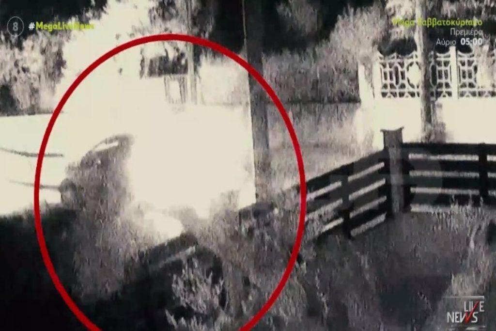 Τροχαίο στην Κόρινθο: Συγκλονιστικό βίντεο από τη στιγμή που το όχημα χτυπά τον 19χρονο  Έβαλε όπισθεν και τον ξαναπάτησε [βίντεο]