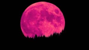 «Ροζ φεγγάρι»: Απόψε η πρώτο πανσέληνος του Απριλίου [Βίντεο]