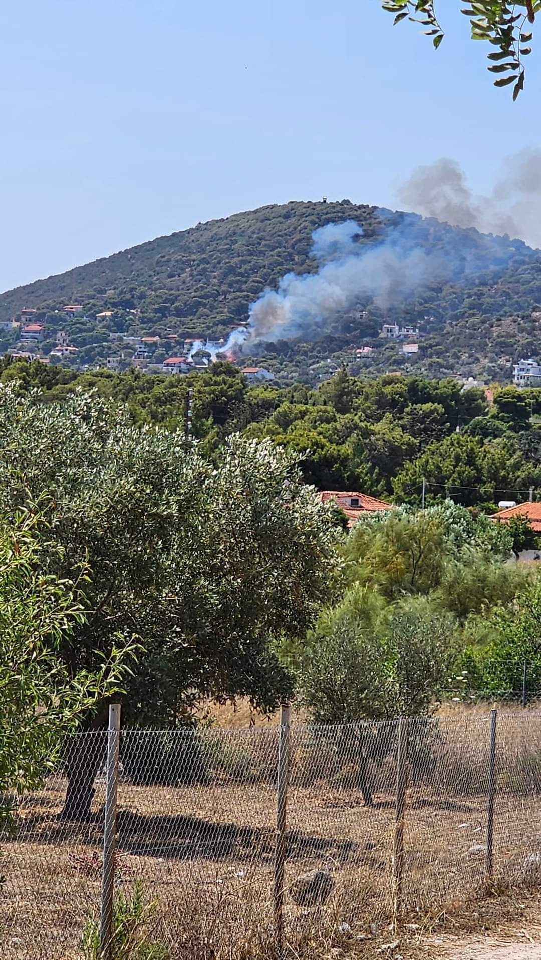 Μεγάλη φωτιά στην Αρτέμιδα - Γλείφουν τα σπίτια οι φλόγες - ΝΕΑ