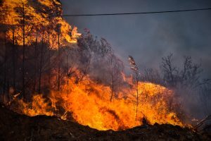 πυρκαγιές Φωτιά στη Μαγνησία: Δύο νεκροί από την πύρινη λαίλαπα