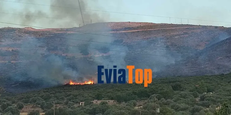 Φωτιά στο Αλιβέρι: Καλύτερη η εικόνα – Συνελήφθη 75χρονος