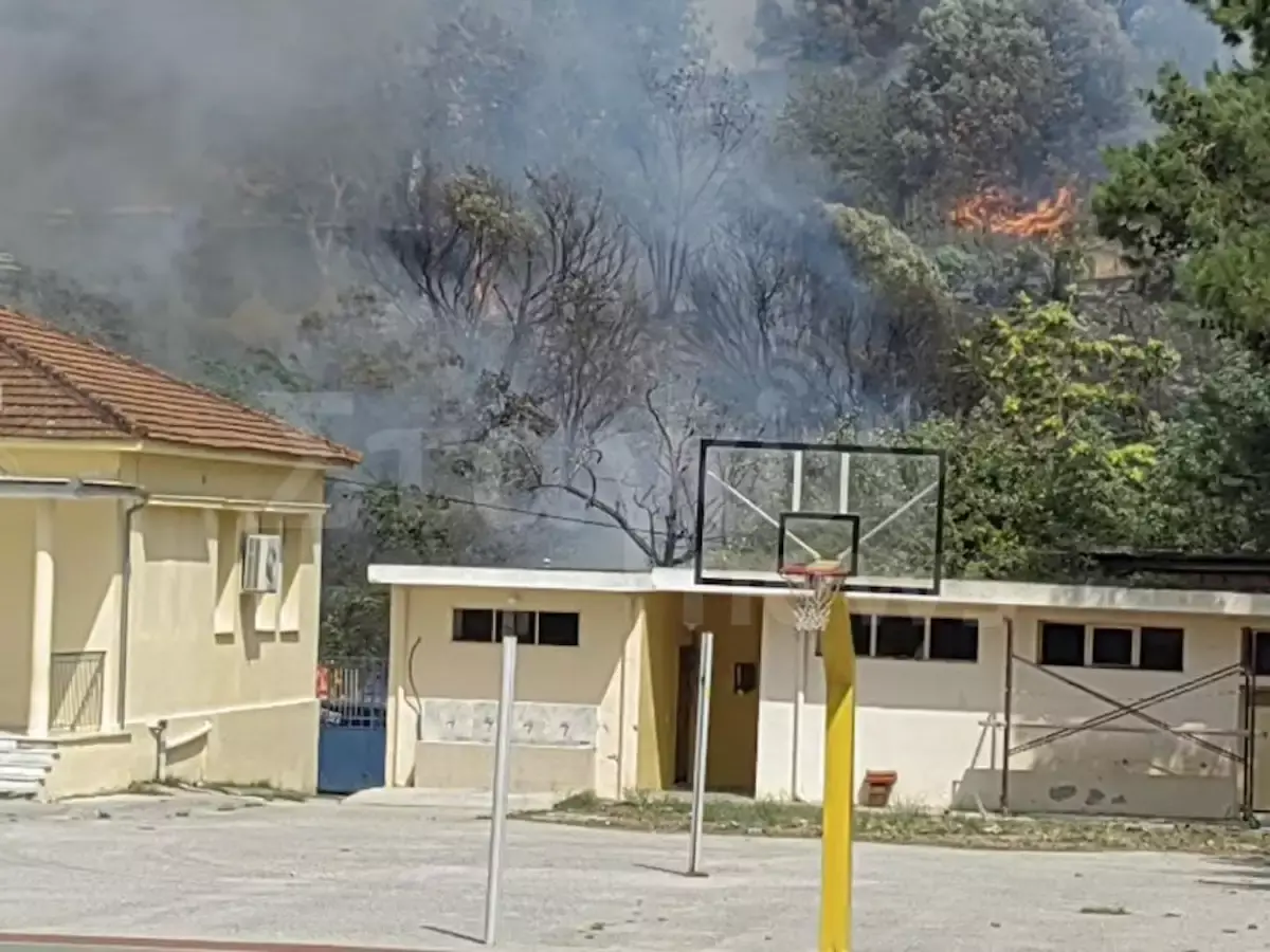 Φωτιά στον Βόλο: Μήνυμα από το 112 σε όλους τους κατοίκους – «Μείνετε σπίτι με κλειστά παράθυρα και πόρτες»