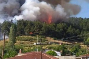 Εφιάλτης στα Γρεβενά: Φωτιά σε δασική έκταση στη Δεσκάτη - Μία ανάσα από τα σπίτια οι φλόγες [εικόνες-βίντεο]