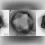 Ανησυχητική ανακάλυψη: Επιστήμονες βρήκαν ιούς – «γίγαντες» με μεγάλα πλοκάμια σε δάσος των ΗΠΑ