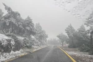 Καιρός: Έπεσε το πρώτο χιόνι του χειμώνα στην Πάρνηθα σήμερα το πρωί 9/12, με τον καιρό να χαρακτηρίζεται γενικά από χαμηλές θερμοκρασίες και τοπικές βροχές.