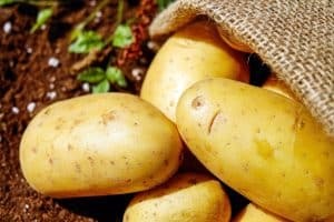 «Χρυσές» πατάτες με αύξηση έως 40%