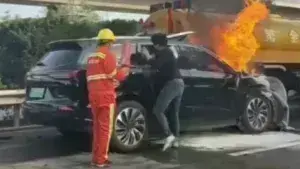 Δραματική στιγμή: Αυτοκίνητο τυλιγμένο στις φλόγες- Περαστικοί προσπάθησαν να σώσουν την οικογένεια-Τρεις νεκροί